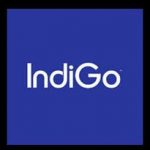 Indigo Flights from Delhi to Dubai